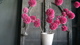 Pom pom tak kunst | paars
