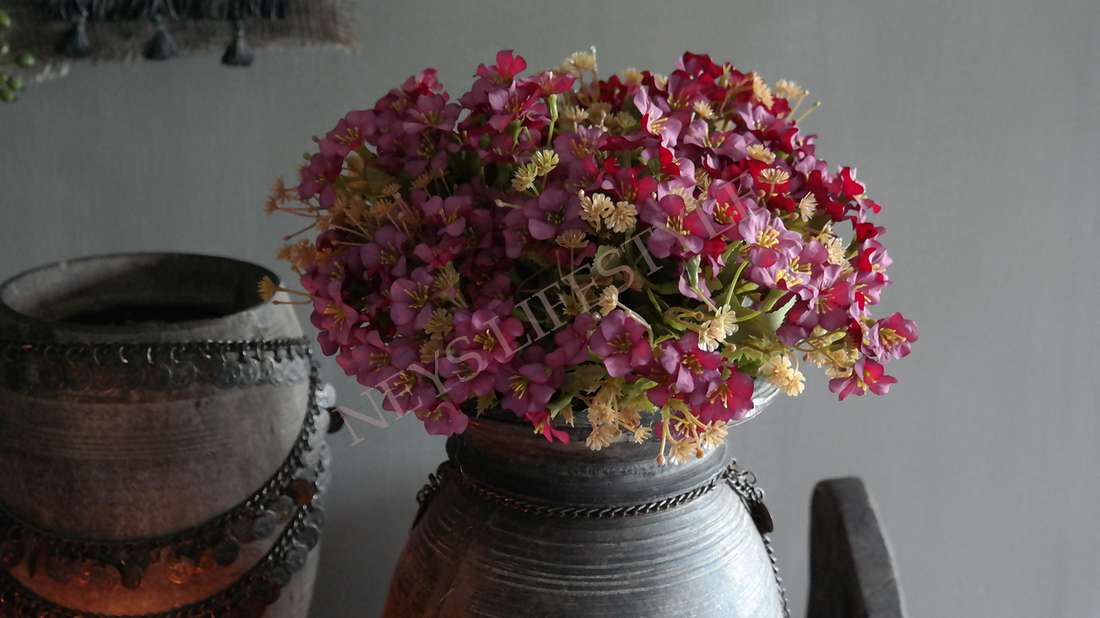 Freshi bundle purple | 48 cm l