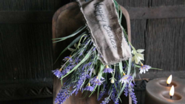 Bosje margrietjes/druifjes | namaak