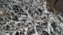 Krans Bonsai whitewash | 60cm