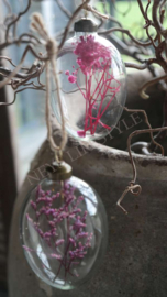 Hanging eggs glass 4 st | pink /purple L
