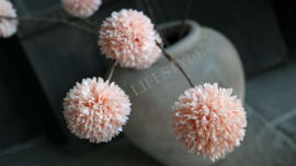 Pom pom tak kunst | zalm
