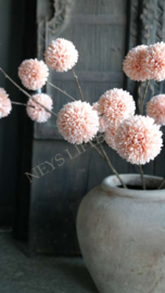 Pom pom tak kunst | zalm