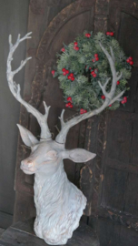 Reindeer head | grey