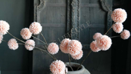 Pom pom tak kunst | zalm