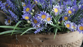 Bosje margrietjes/druifjes | namaak