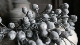 Bosje bessen old purple | namaak