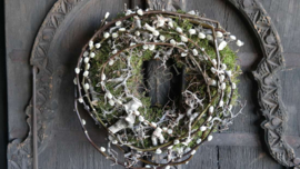 Krans katjes mos bonsai | 30 cm