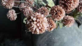 Dahlia bloem kunst | cappuccino