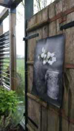 Tuinposter | witte tulpen