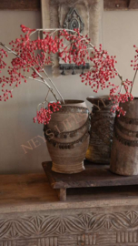 Bessen/ilex tak kunst | rood