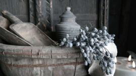 Bosje bessen old purple | namaak