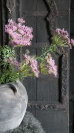 Wildwortel kunst bloem | paars