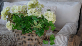 Hedera plant namaak | UV bestendig