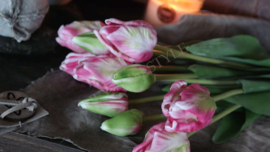Tulpen Parrot bundle | roze-groen