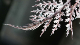 Boeket kant- en klaar zijden | Autumn 1