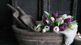 Olijfbak ovaal | old wood