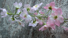 Delphinium kunst bloem | roze