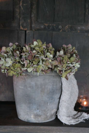 Hortensia zijden bloem | groen