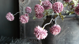 Dahlia bloem kunst | oud roze