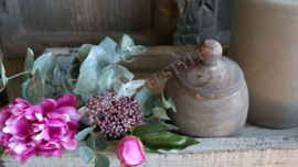Eucalyptus zijden tak dried | 28 cm
