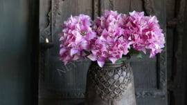 Bosje Bougainvillea zijden | paars
