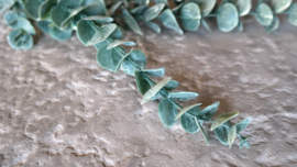 Eucalyptus kunst tak | 105 cm