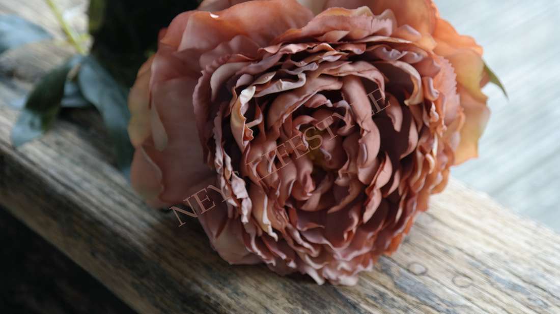 Pioenroos kunst bloem | coffee
