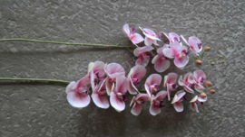 Orchidee kunst tak roze l 106 cm