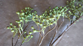 Bessen/ilex tak kunst | groen