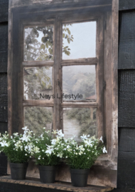 Tuinposter raam outdoor | 50 x 70 cm
