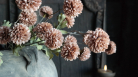 Dahlia bloem kunst | cappuccino