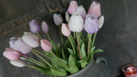 Tulpen classic bundle | mix paars/roze