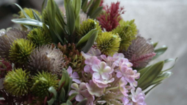 Droogboeket viburnum kunst | paars
