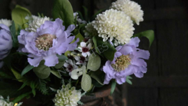 Scabiosa tak zijden | paars
