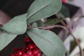 Guirlande eucalyptus berry | 180 cm