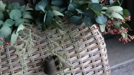 Plantenmand rotan hengsel | L