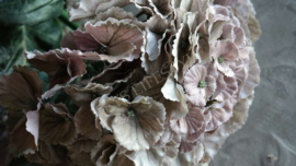 Hortensia zijden bloem | Kira old beige