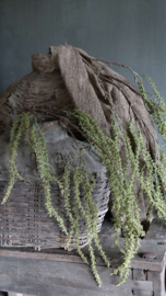 Panicum kunst groen tak | 70 cm