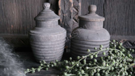 Pot Mangole | long island