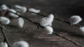 Wilgenkatjes tak namaak | 55 cm