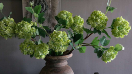Hortensia/ Viburnum kunst bloem | groen 86 cm