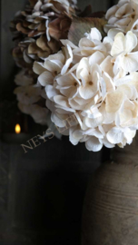 Hortensia zijden bloem | beige