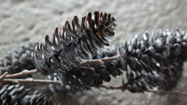 Dennenappel namaak tak 122 cm | zwart