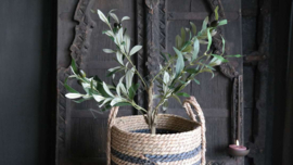 Olijfboom in pot | kunst 60 cm
