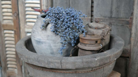 Olijfbak | antique wood