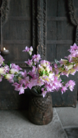 Campanula bloem zijden | paars/geel