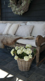 Outdoor basis kussen beige  | 30 x 50 cm