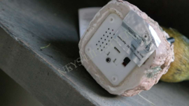 Vogel met sensor/geluid | op stam