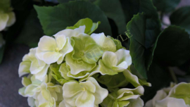 Hortensia plant namaak UV bestendig| groen